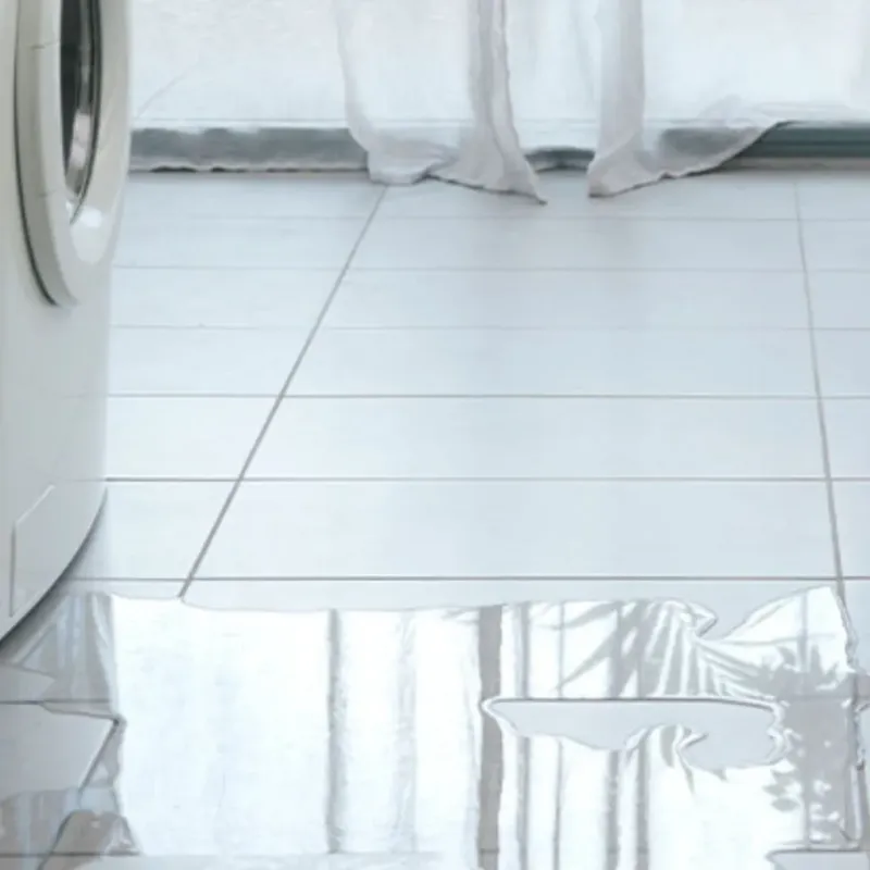 Appliance Leak Cleanup in McMullen County, TX