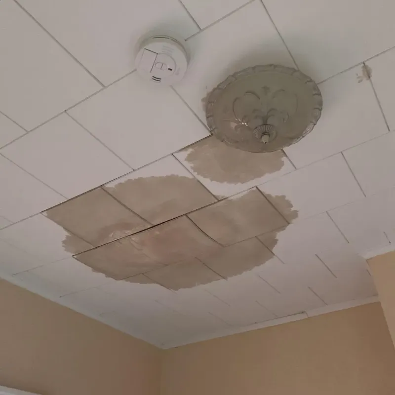 Ceiling Water Damage Repair in McMullen County, TX