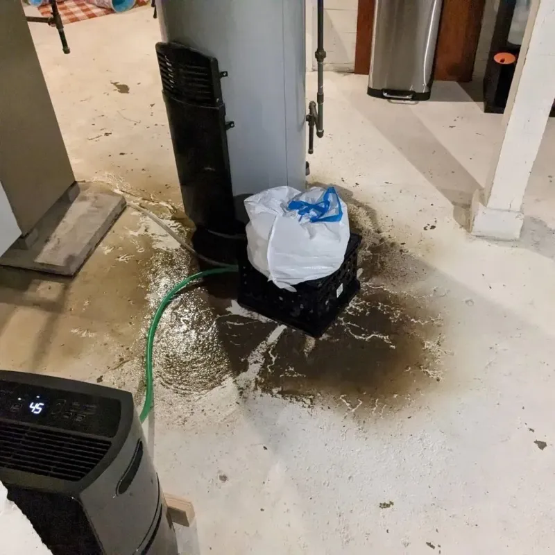 Sewage Backup Cleanup Service in McMullen County, TX